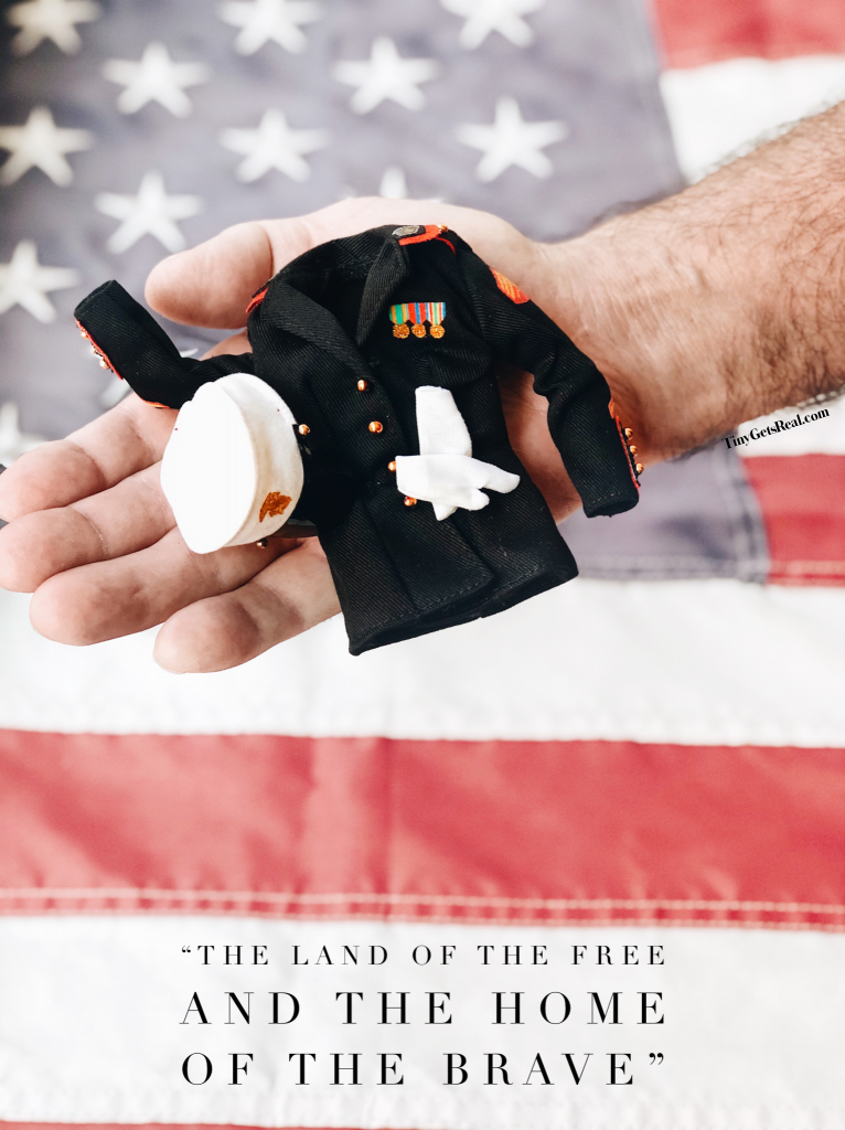 veterans day marines
