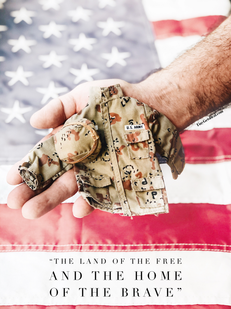 veterans day army