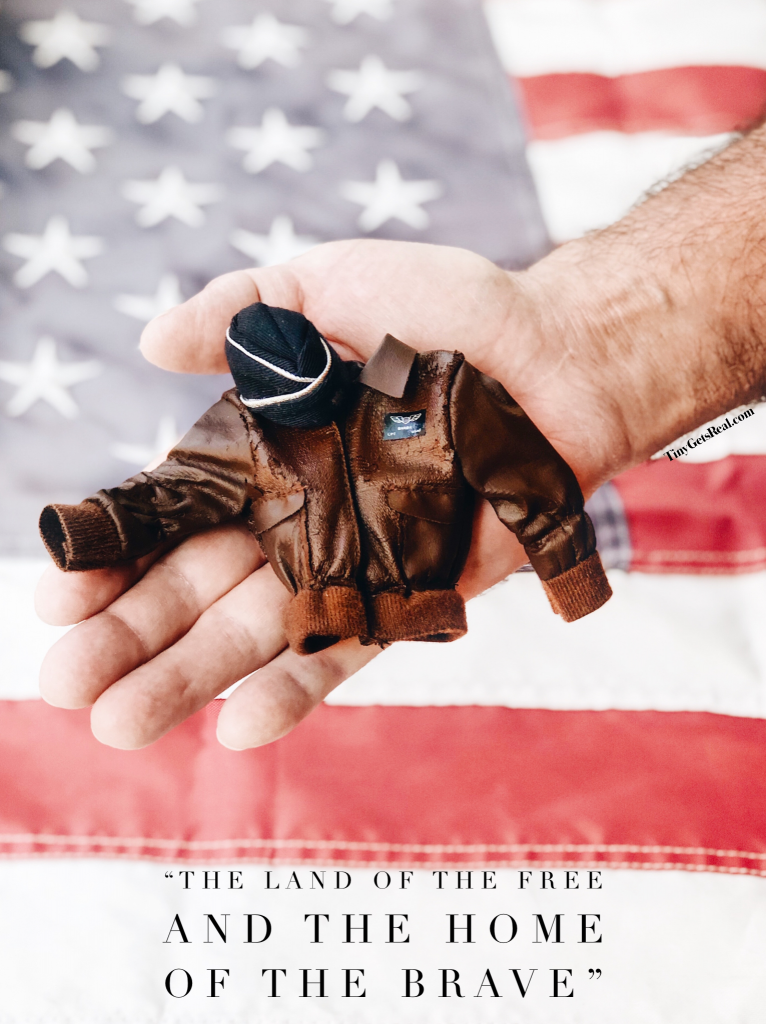 veterans day air force