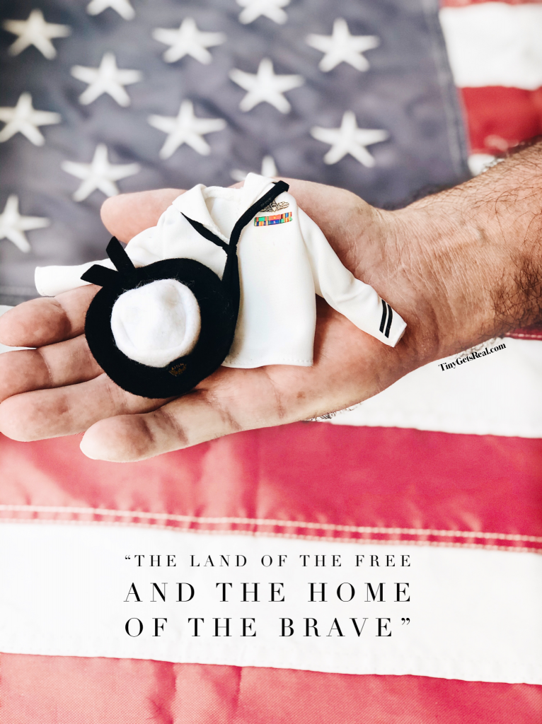 veterans day navy
