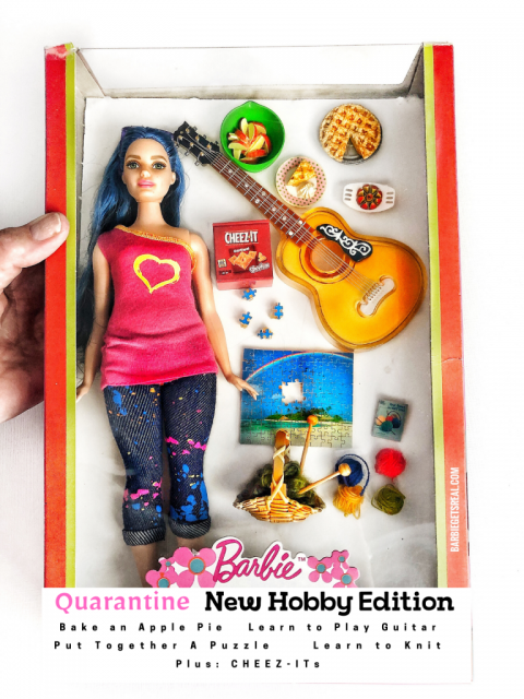 Quarantine Barbie New Hobby Edition