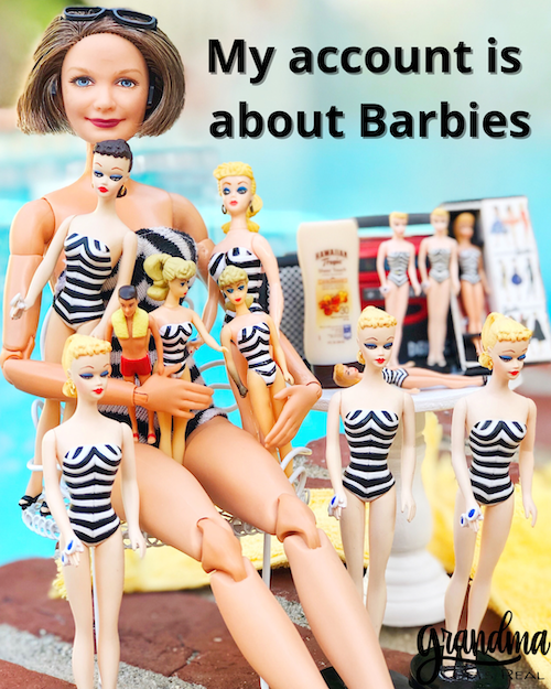 barbie doll with barbie dolls